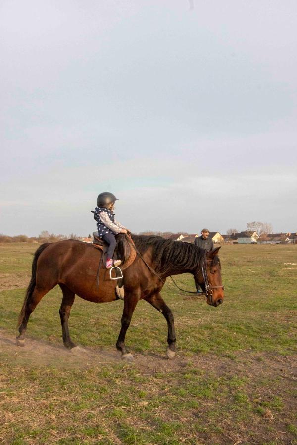 Hajdu Lovasudvar Hortobágy Buitenkant foto