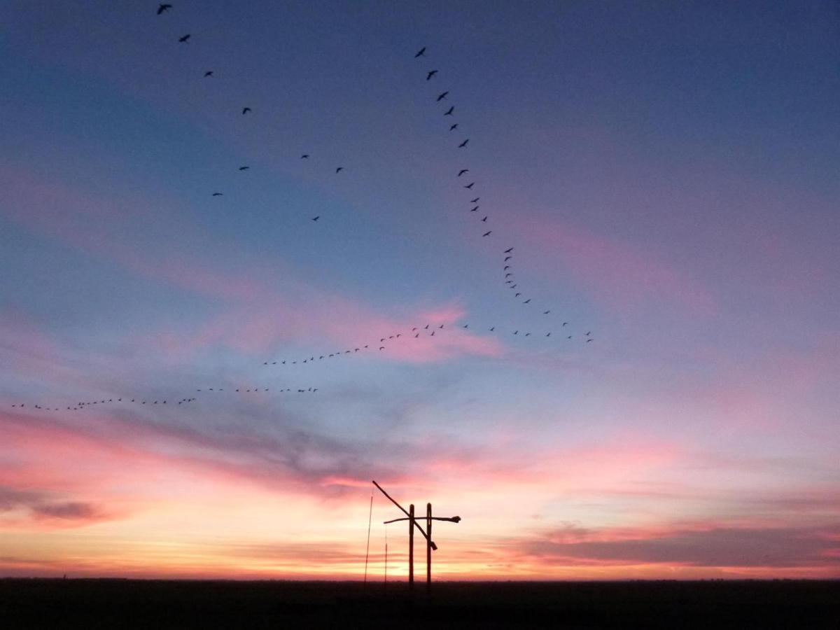 Hajdu Lovasudvar Hortobágy Buitenkant foto