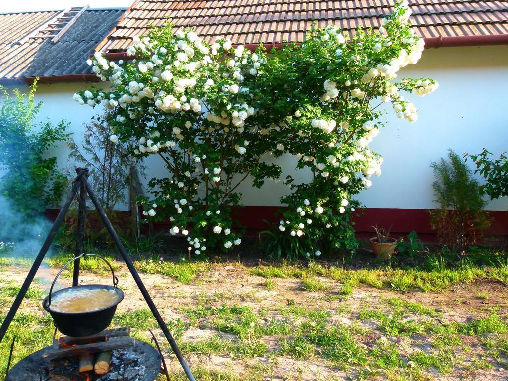 Hajdu Lovasudvar Hortobágy Buitenkant foto